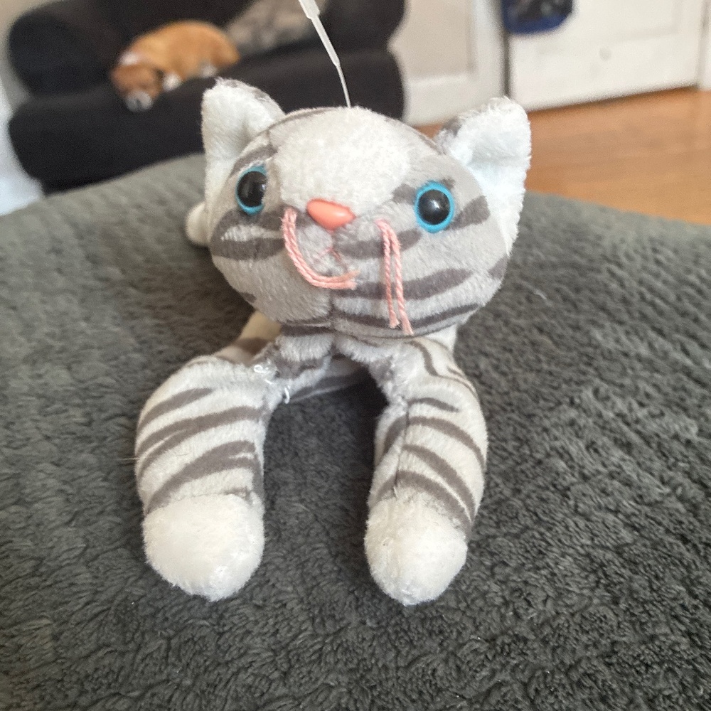Prance cat